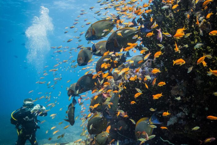 Cedarberg Travel | Azura Benguerra Island