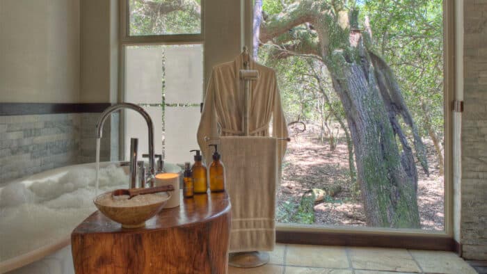 Cedarberg Travel | andBeyond Phinda Forest Lodge