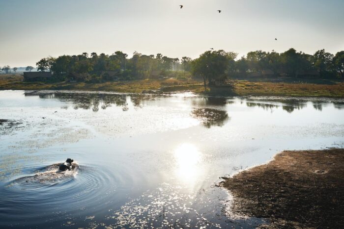 Cedarberg Travel | Belmond Eagle Island Lodge