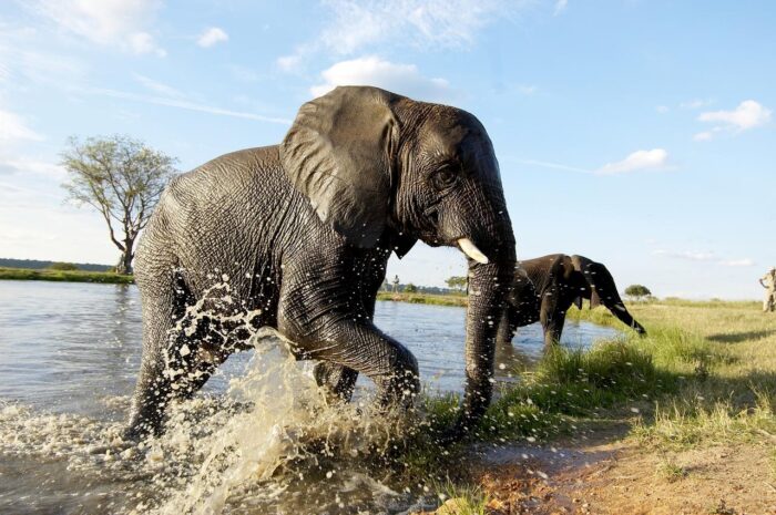 Cedarberg Travel | Jabulani Safari