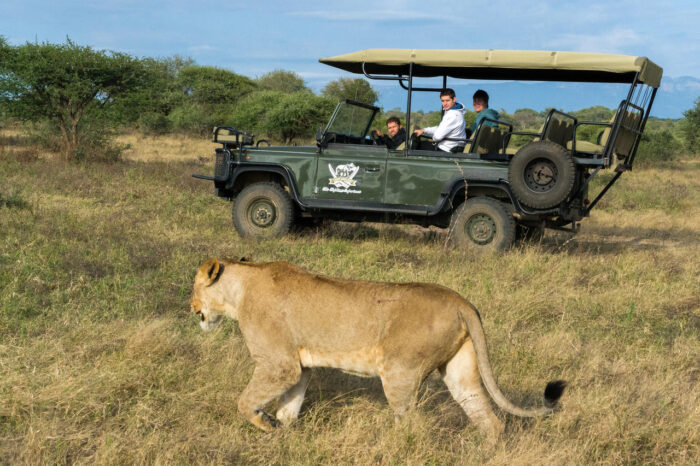 Cedarberg Travel | Jabulani Safari