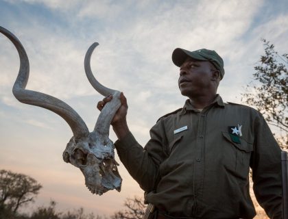 How much does a Tanzania safari cost in 2025? 5 tips to manage your budget.