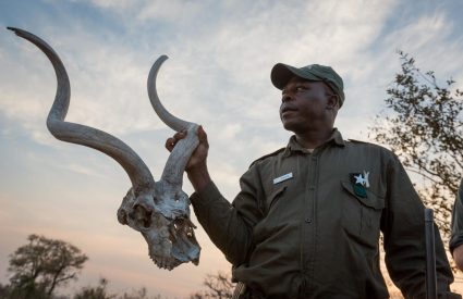 Best Family Holiday Destinations in South Africa in 2026