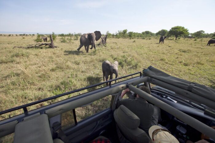 Cedarberg Travel | Alex Walker's Serian - Serengeti North Camp