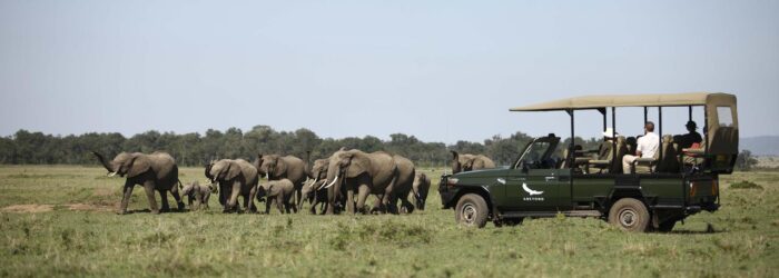 Cedarberg Travel | andBeyond Kichwa Tembo Tented Camp