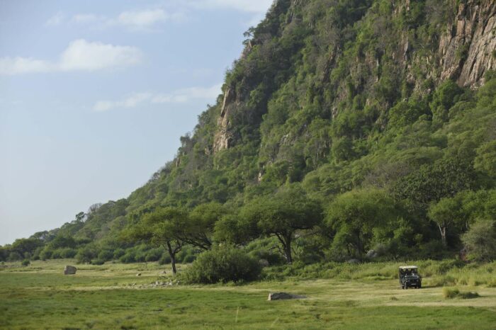 Cedarberg Travel | andBeyond Lake Manyara Tree Lodge