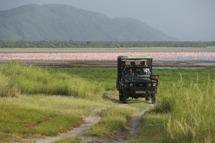 Cedarberg Travel | andBeyond Lake Manyara Tree Lodge