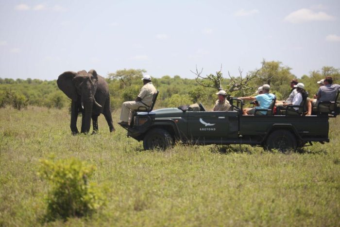 Cedarberg Travel | andBeyond Ngala Safari Lodge