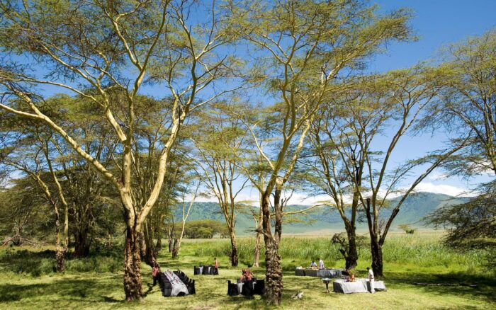 Cedarberg Travel | andBeyond Ngorongoro Crater Lodge