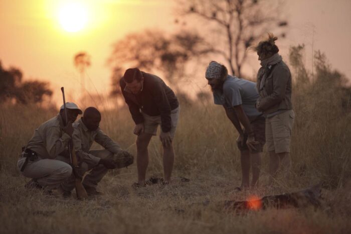 Cedarberg Travel | andBeyond Sandibe Okavango Safari Lodge