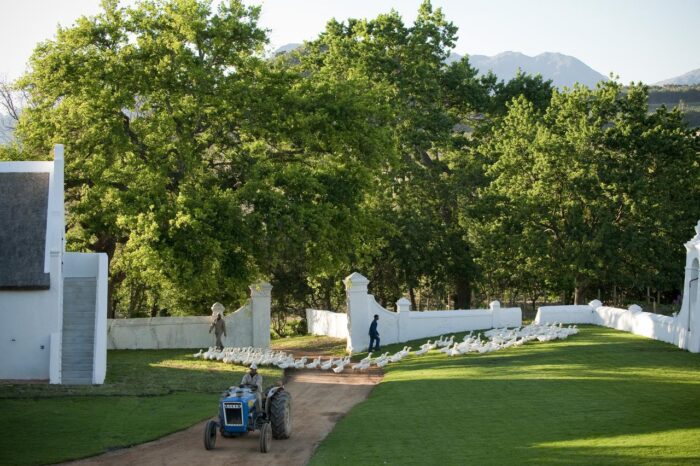 Cedarberg Travel | Babylonstoren Farm Hotel