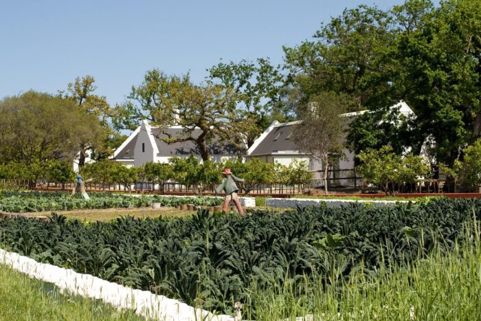 Cedarberg Travel | Babylonstoren Farm Hotel