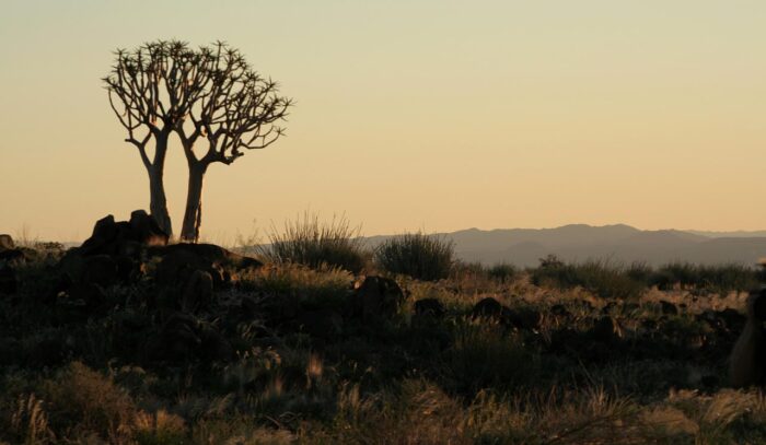 Cedarberg Travel | Canyon Lodge