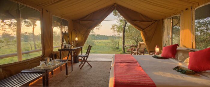 Cedarberg Travel | Elephant Pepper Camp