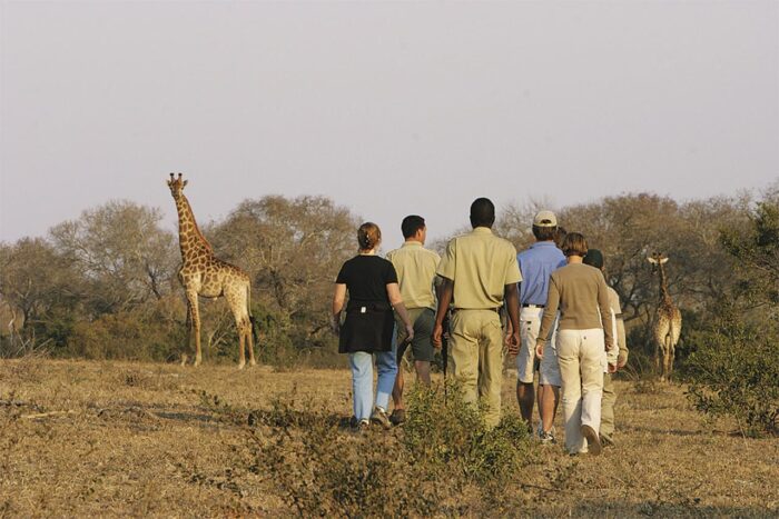 Cedarberg Travel | Elephant Plains Game Lodge