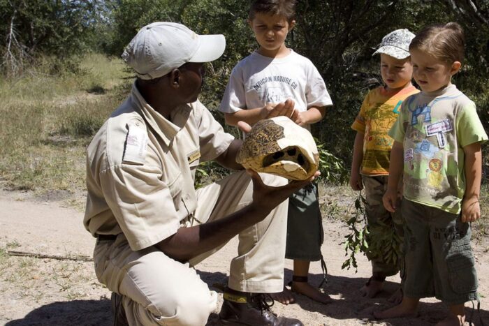 Cedarberg Travel | Elephant Plains Game Lodge