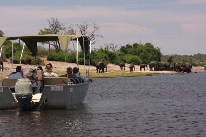 Cedarberg Travel | Elephant Valley Lodge