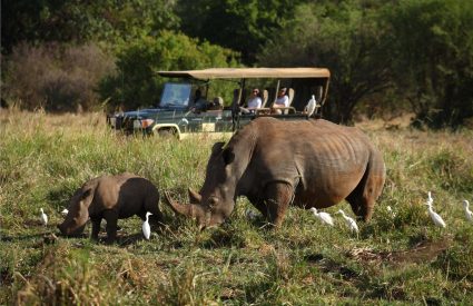 Namibia Fly-In with Skeleton Coast
