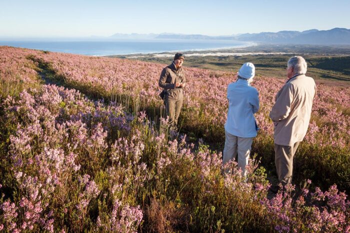 Cedarberg Travel | Grootbos Forest Lodge