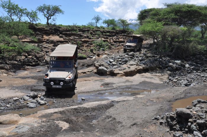 Cedarberg Travel | Hatari Lodge