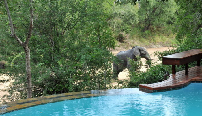 Cedarberg Travel | Imbali Safari Lodge