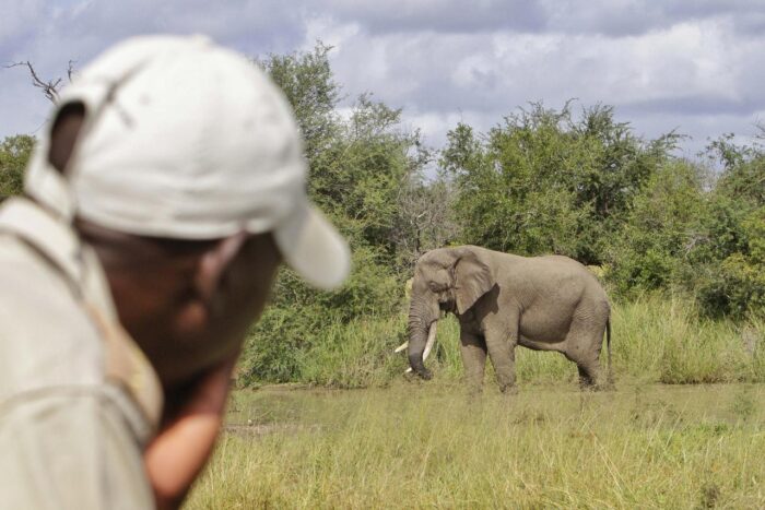 Cedarberg Travel | Kambaku Safari Lodge