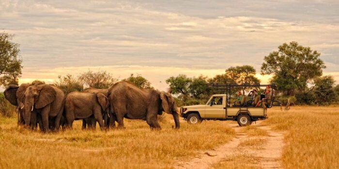 Cedarberg Travel | Kanga Camp