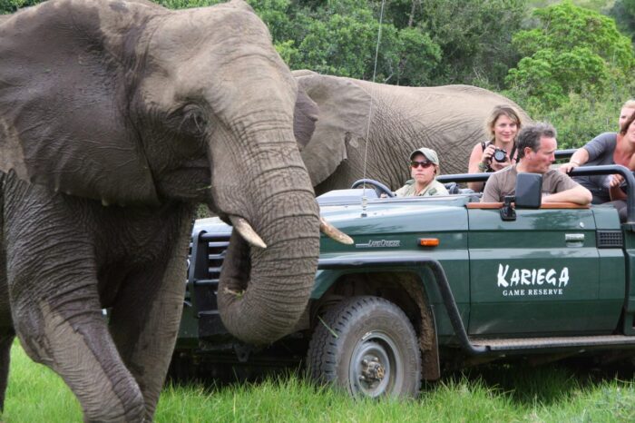 Cedarberg Travel | Kariega Ukhozi Lodge