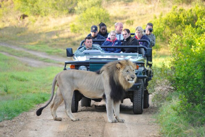 Cedarberg Travel | Kariega Ukhozi Lodge