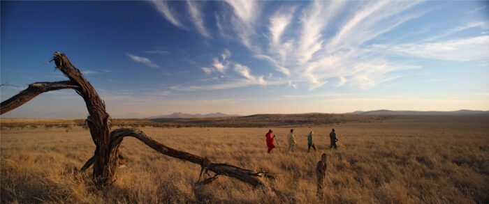 Cedarberg Travel | Elewana Lewa Safari Camp