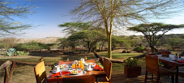 Cedarberg Travel | Elewana Lewa Safari Camp