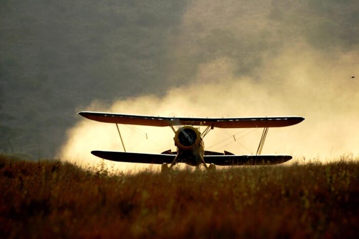 Cedarberg Travel | Kenyan Exploration Fly-in Safari