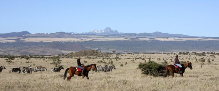 Cedarberg Travel | Kenyan Exploration Fly-in Safari