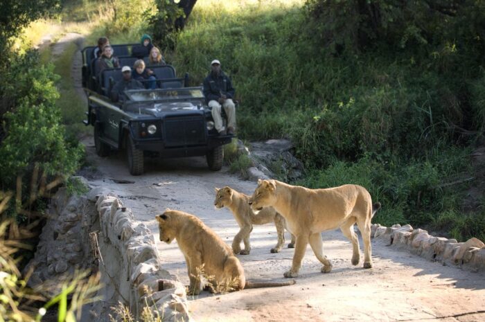 Cedarberg Travel | Lion Sands Narina Lodge