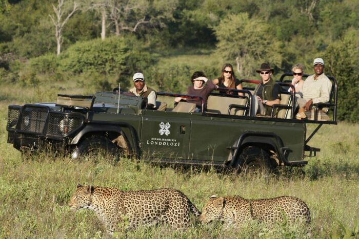 Cedarberg Travel | Londolozi Founders Camp