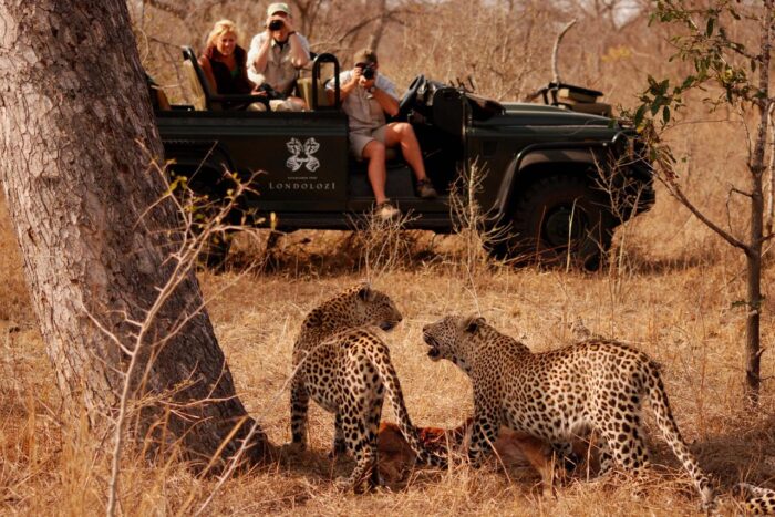 Cedarberg Travel | Londolozi Pioneer Camp