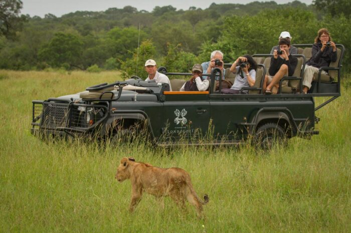 Cedarberg Travel | Londolozi Pioneer Camp