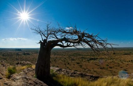 Namibia Fly-In with Skeleton Coast