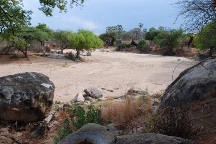 Cedarberg Travel | Mwagusi Safari Camp