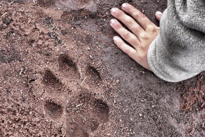 Cedarberg Travel | Ngare Serian Camp