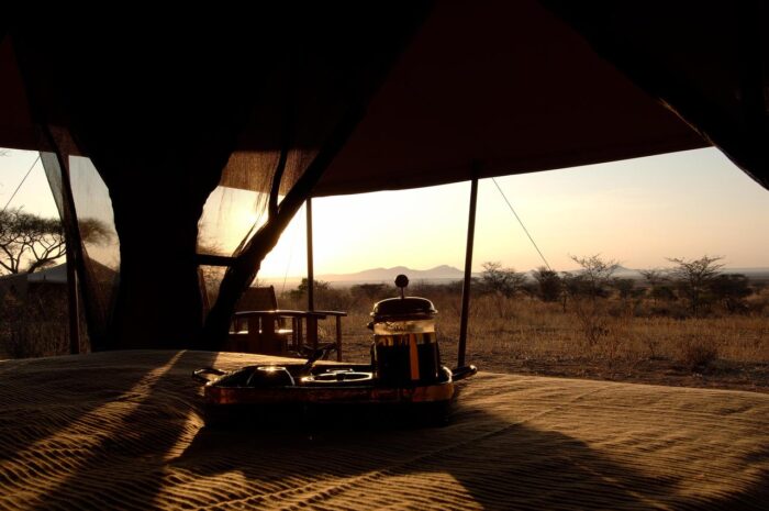 Cedarberg Travel | Tarangire Kuro Treetops Lodge (Nomad)