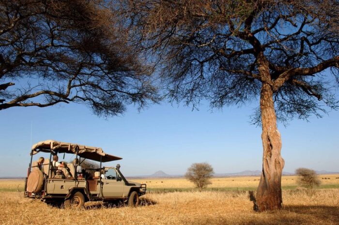 Cedarberg Travel | Tarangire Kuro Treetops Lodge (Nomad)