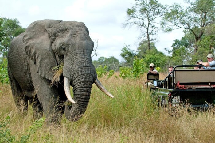 Cedarberg Travel | Notten's Bush Camp