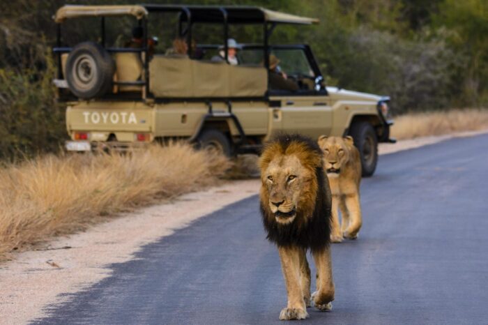 Cedarberg Travel | Rhino Post Safari Lodge