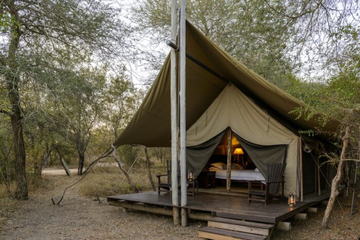 Cedarberg Travel | Rhino Walking Safaris at Plains Camp