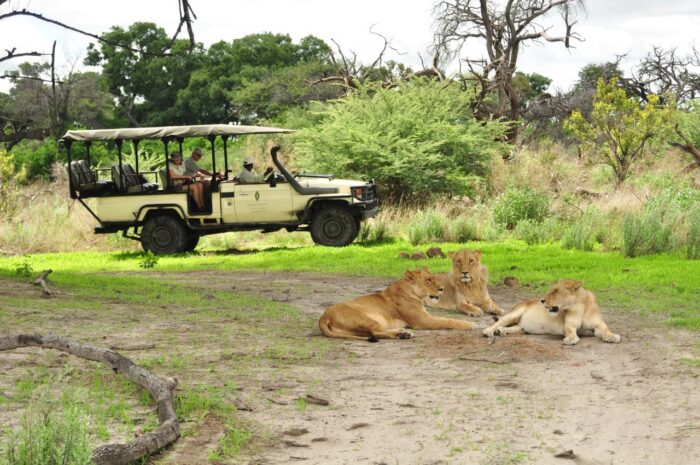 Cedarberg Travel | Best of Botswana & Victoria Falls