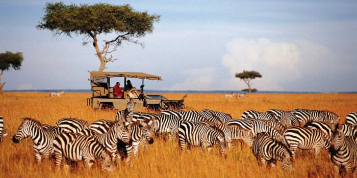 Cedarberg Travel | Scenic Safari in Kenya