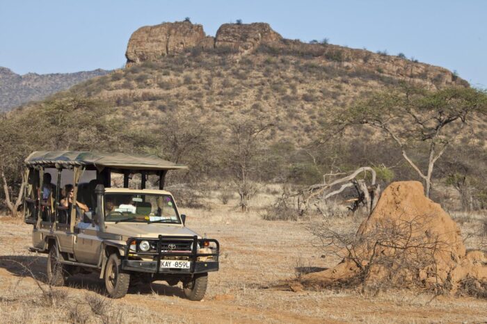 Cedarberg Travel | Sasaab Lodge