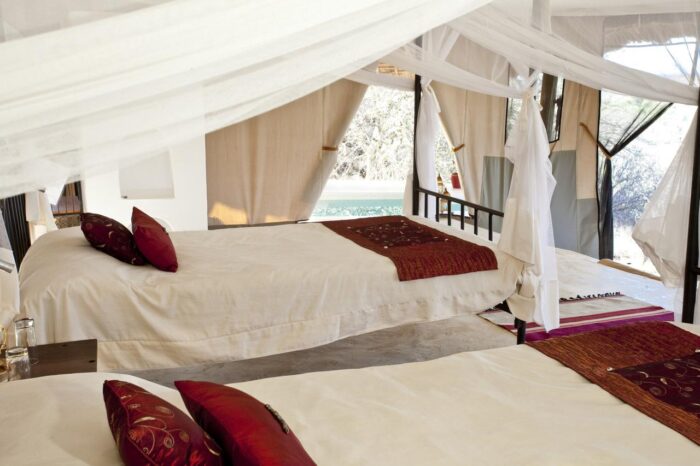 Cedarberg Travel | Sasaab Lodge