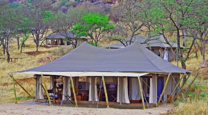 Cedarberg Travel | Serengeti Pioneer Camp by Elewana